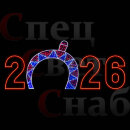 Световая фигура 2026 арка "Калейдоскоп" красный неон